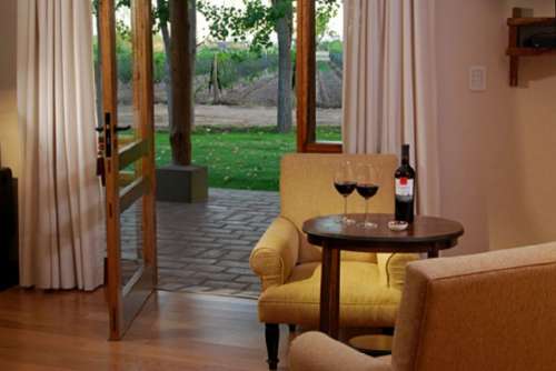 View to vinery