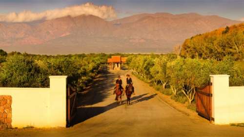 horseback riding