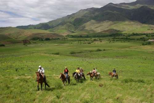 Horse Riding