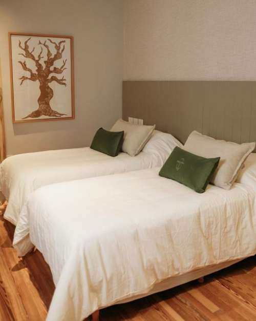 Habitacion Ejecutiva Doble Twin